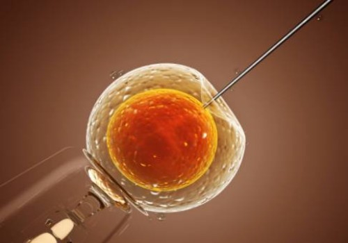 寧波試管助孕公司：靜脈曲張會不會遺傳，這些治療方式能有效幫助解決煩惱